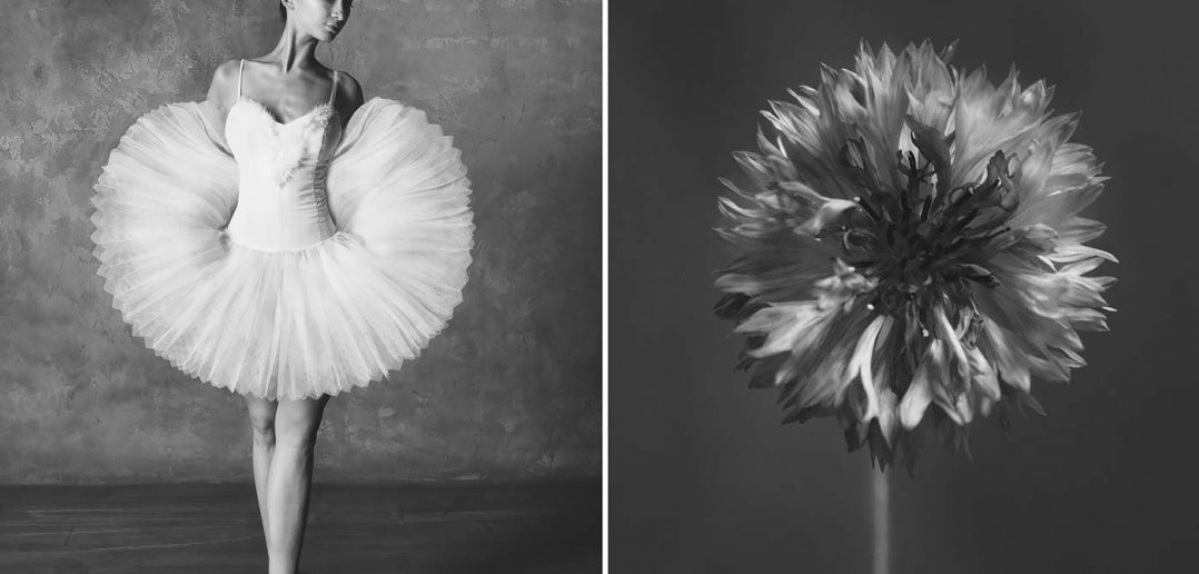 © Yulia Artemyeva: Ballerina and Flowers