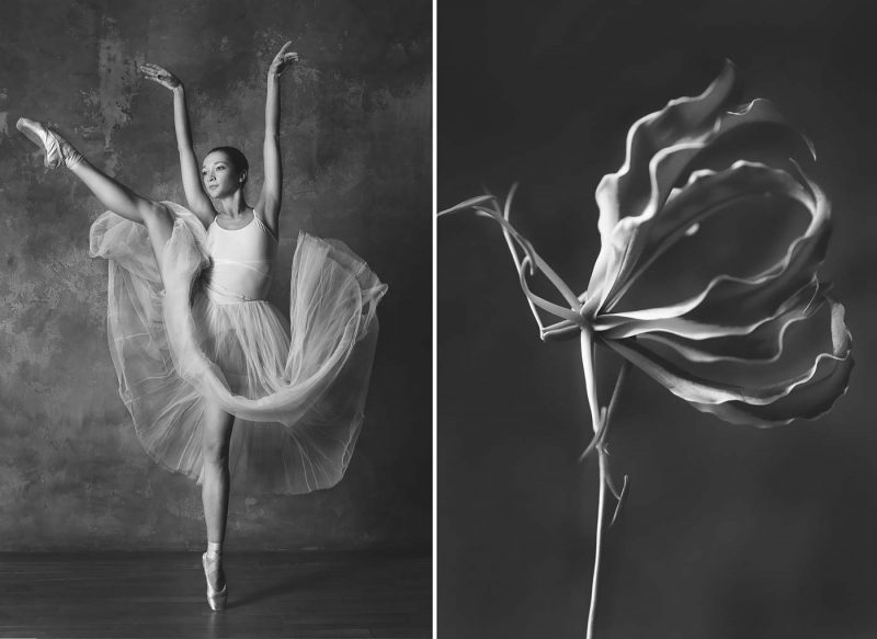 © Yulia Artemyeva: Ballerina and Flowers